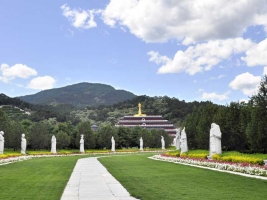 清东陵万佛园草坪